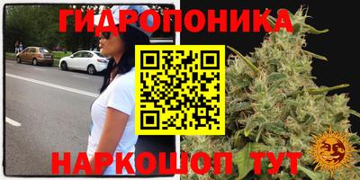 эйфоретик Чебоксары