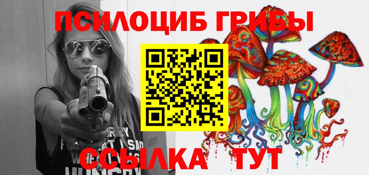 Галлюциногенные грибы Psilocybine cubensis Дмитров