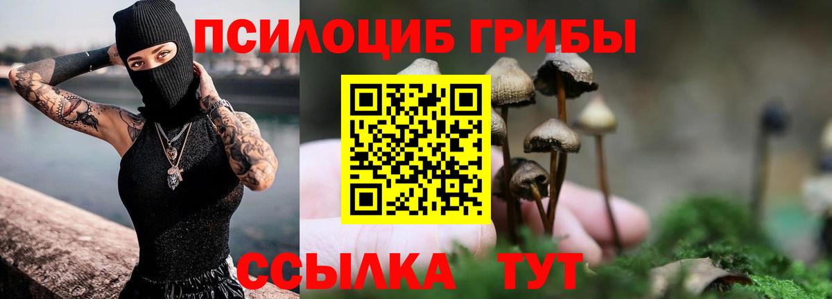 Дмитров  Галлюциногенные грибы мухоморы  Вход с VPN  Псилоцибиновые грибы ЛСД 